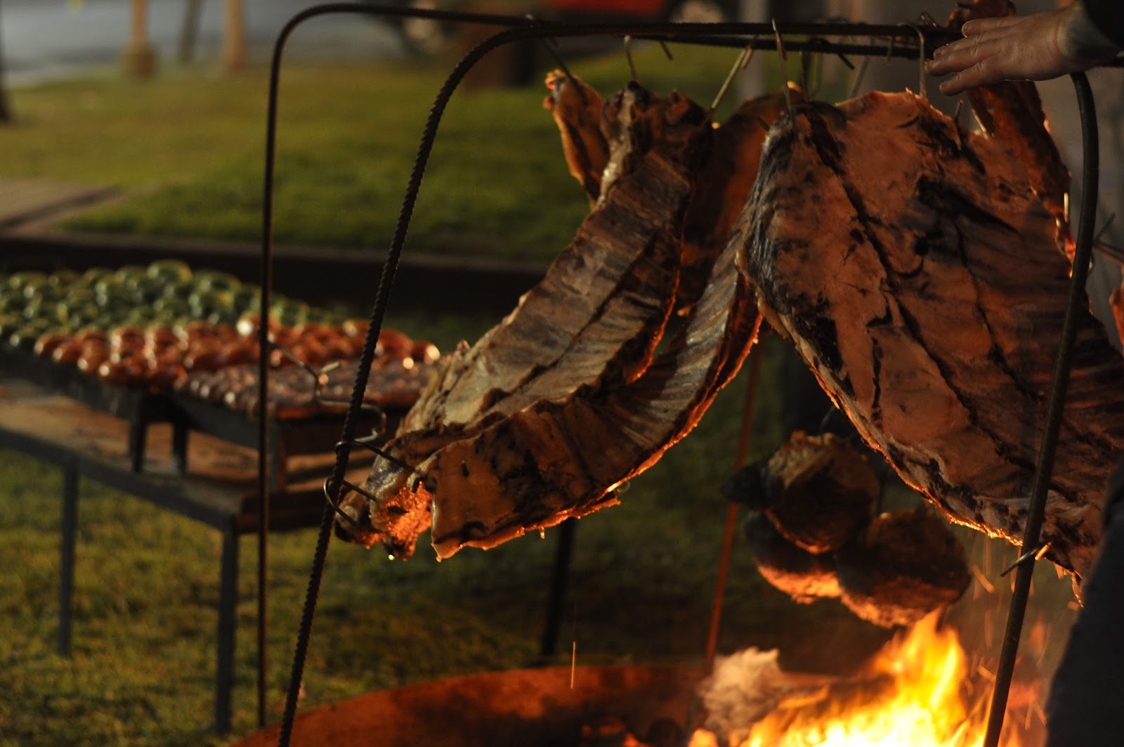Carnes asándose lentamente sobre el fuego en la parrilla